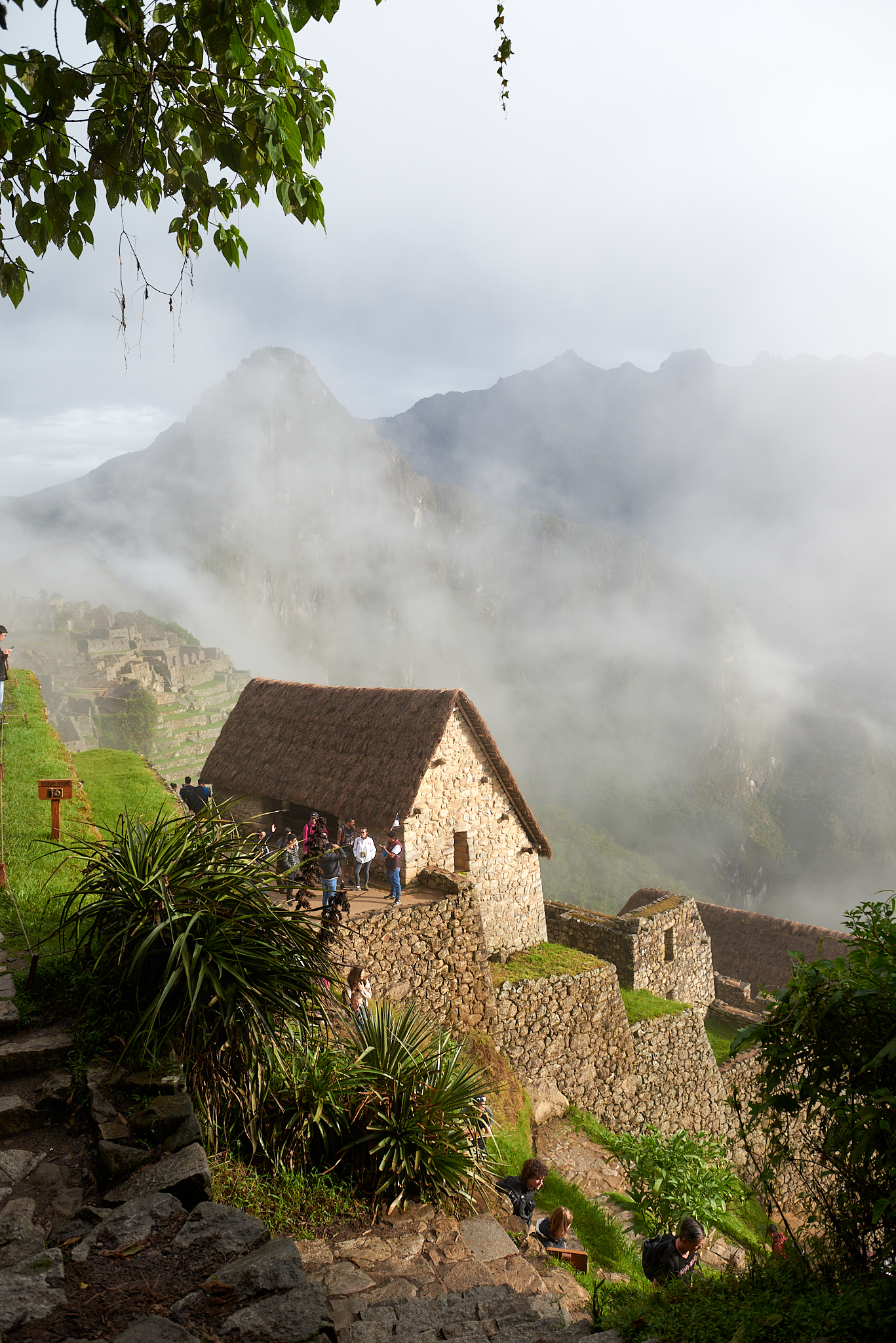 20200308 576 [페루] 마추픽추